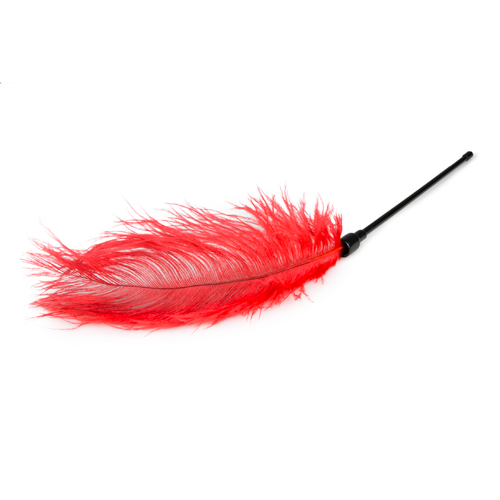 ET254RED_3