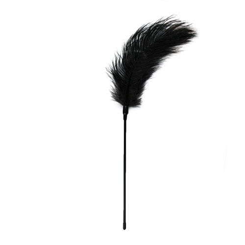 Federpuschel Schwarzer Feder-Tickler